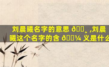 刘晨曦名字的意思 🌸 ,刘晨曦这个名字的含 🌼 义是什么